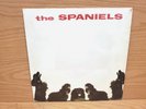 Spaniels 