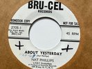 NAT PHILLIPS Northern soul 45 on BRU-CEL I'M SORRY I HURT YOU/ABOUT YESTERDAY