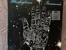 Ryan Adam’s Whiskeytown Pneumonia Lost Highway 10th Anniversary 2LP Clear