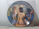 PINK FLOYD - RARE BEAUTIES - PICTURE DISC LP -