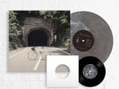 The Backseat Lovers - When We Were Friends Vinyl Exclusive Smog Colored + 7