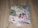 LP ROCK / BLUES FLEETWOOD MAC 