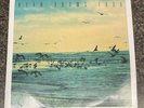 Ryan Adams - 1989 Vinyl (2-LP-Set ) Record RARE Taylor Swift Cover Album  M003