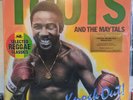 Toots & The Maytals - Knock Out  (LP, RE) (Mint (M)) - 2062035302