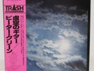 PETER GREEN / IN THE SKIES JAPAN ISSUE LP W/ OBI, INSERT