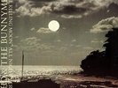 Echo & The Bunnymen - The Killing Moon (All Night Version) (12