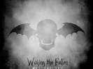 Avenged Sevenfold - Waking The Fallen (Resurrected) (4xLP, Album, Ltd, RE, Cl...