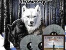 CODY JINKS - Wanting / After The Fire 3-LP New SEALED colored vinyl