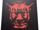 Melvins The End - Limited To 40 - RARE GRAIL