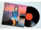 Vanessa Williams The Comfort Zone