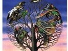 Talk Talk LAUGHING STOCK 180g New Sealed Black Vinyl Record LP