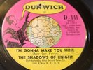 Tough Chicago Garage Punk 45 Shadows of Knight I'm Gonna Make You Mine HEAR