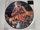 CANNIBAL CORPSE -EATEN BACK TO LIFE-  PRESS LP VINYL PICTURE DISC 2013