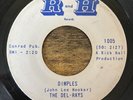 Alabama Garage R&B THE DEL-RAYS Fortune Teller / Dimples on R&H 7