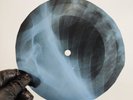 STOOGES LITTLE DOLL X-Ray USSR Record Roentgen Bones Ribs Music Vinyl