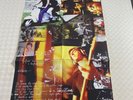 Paul Weller - Wild Wood Poster Insert Only From Original Vinyl LP