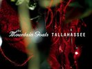 The Mountain Goats - Tallahassee - FOLK *NEW/SEALED*
