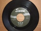 THE BEATLES   SHE LOVES YOU   I'LL GET YOU   SWAN 45   RECORD NEAR MINT