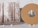 RARE UNOPENED Taylor Swift Folklore “In The Trees” (2LP) Deluxe Vinyl FAST SHIP