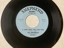Universals 1962 DOOWOP 45 A Love Only You Can Give/I'm In Love SHEPHERD VG+ HEAR
