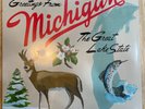 Sufjan Stevens - Michigan (University of Michigan/Michigan State AKR Edition)
