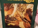 BILLY NICHOLLS Would You Believe Limited Numbered #709/1000 2LP U.K MINT