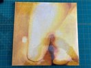 Smashing Pumpkins – Pisces Iscariot 2 LP Vinyl Record - BRAND NEW & SEALED