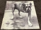 Alice in Chains Self-Titled (1995) 2LP Vinyl Used - Very Rare