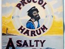 PROCOL HARUM A SALTY DOG A&M GXG1028 JAPAN VINYL LP