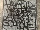 Hank Wood And The Hammerheads: Go Home  (LP, 2012) Toxic State Records: Punk: NM