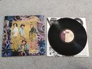 The Seeds - Evil Hoodoo (LP, Comp)
