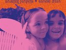 Siamese Dream (2 Lp) - Smashing Pumpkins (Vinile)