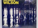 Brian Wilson – No Pier Pressure - Capitol Records – 2X Vinyl LP Album 2015