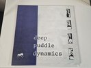 Deep Puddle Dynamics-The Taste Of Rain.Atmosphere.2xBlue Vinyl.Mint.Unplayed.