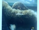 Beyoncé - Lemonade * 2 Vinyl Lp * 2017 1st Press Ltd Yellow & Film * Free P&P UK