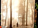 TAYLOR SWIFT FOLKL0RE “IN THE TREES” (2LP) Deluxe Edition BEIGE Vinyl SEALED .