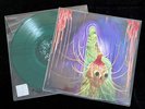 The Flaming Lips   1st EP Wayne Coyne SIGNED 2013 Record Autographed Color Vinyl
