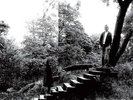 Timber Timbre Timber Timber (Vinyl)