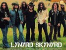 Icon by Lynyrd Skynyrd (Record, 2020)