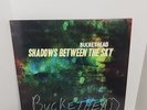 Buckethead  Shadows Between The Sky Signed Numbered Vinyl LP #54