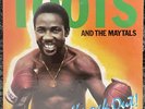 TOOTS AND THE MAYTALS “Knock Out ” 1981 SEALED  Vinyl Presumed Mint. First Press