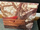 The Backseat Lovers - Waiting To Spill - 180g Vinyl LP Clear Colour 2022 NEW