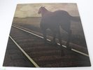 Bruce Cockburn Night Vision Vinyl LP - TN-11 True North/CBS - Lyrics insert