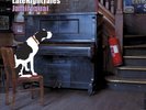 VARIOUS ARTISTS LATE NIGHT TALES: JAMIROQUAI (Vinyl) new sealed
