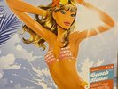 VA - Beach House 04.05 | Hed Kandi 2x 12