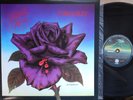 Thin Lizzy ORIG OZ LP Black rose NM ’79 Vertigo 6360169 Hard Rock Phil Lynott