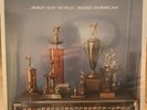 Bleed American by Jimmy Eat World Record 2015 Reissue