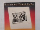 Vinyl Record LP Lynyrd Skynyrd First And Second VG