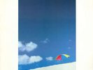Chris Rea On The Beach LP Album Sil Vinyl Schallplatte 010