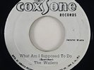 Wailers/Jackie Mittoo 